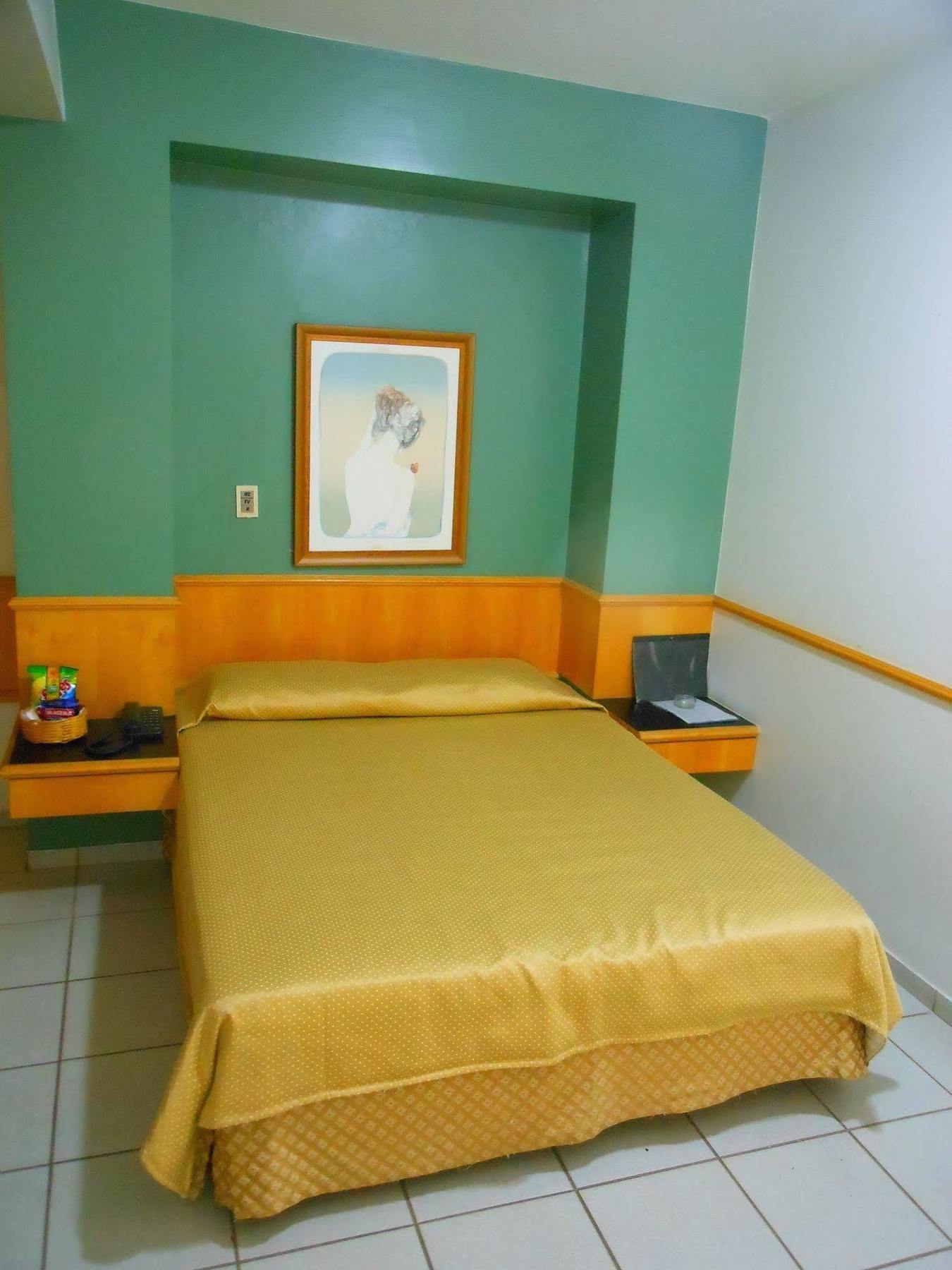 Mangabeiras Hotel 戈亚尼亚 外观 照片
